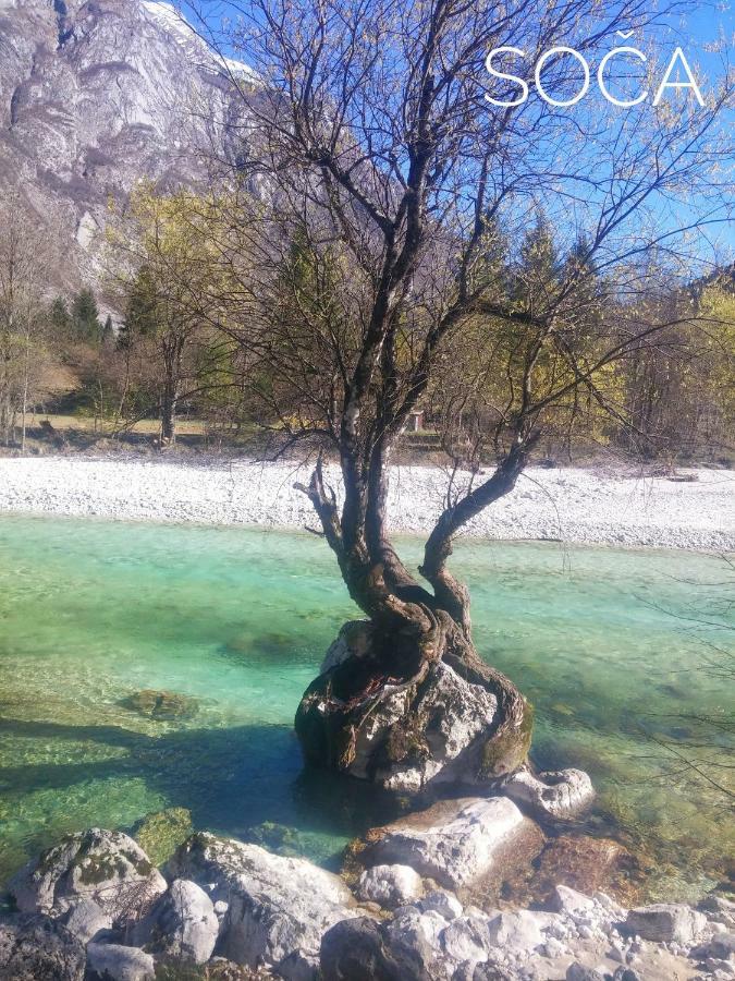 Apartmán Apartma Kukc Bovec Kal-Koritnica Exteriér fotografie